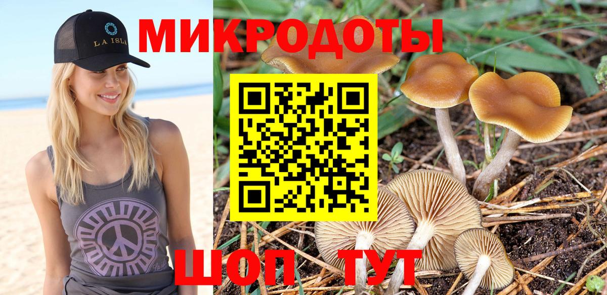 Галлюциногенные грибы Magic Shrooms Артём