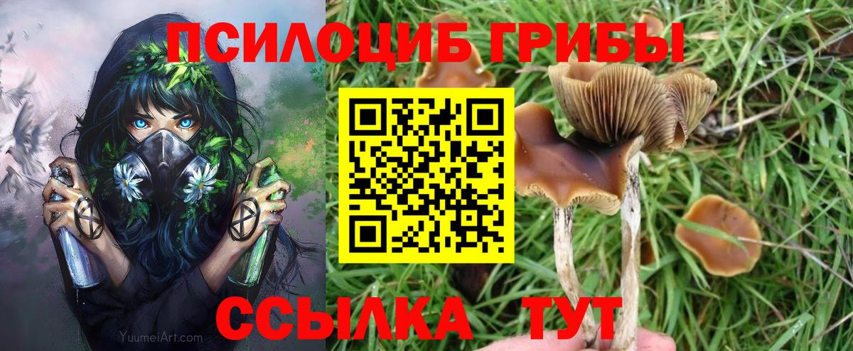 Галлюциногенные грибы Cubensis  Вход с VPN  купить  сайты  Артём  Галлюциногенные грибы Cubensis 